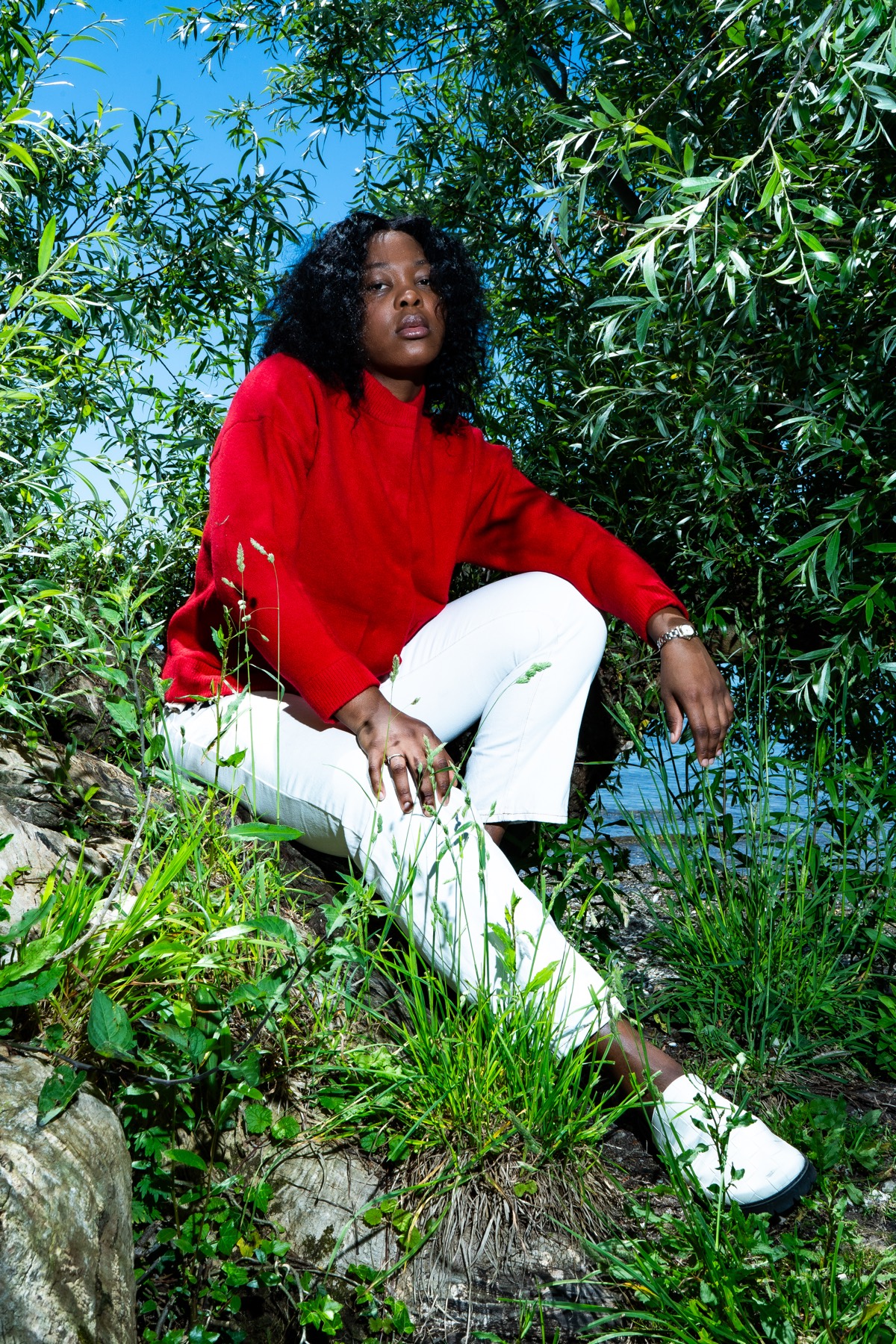 Scarlet Presence — image 1 sur 1